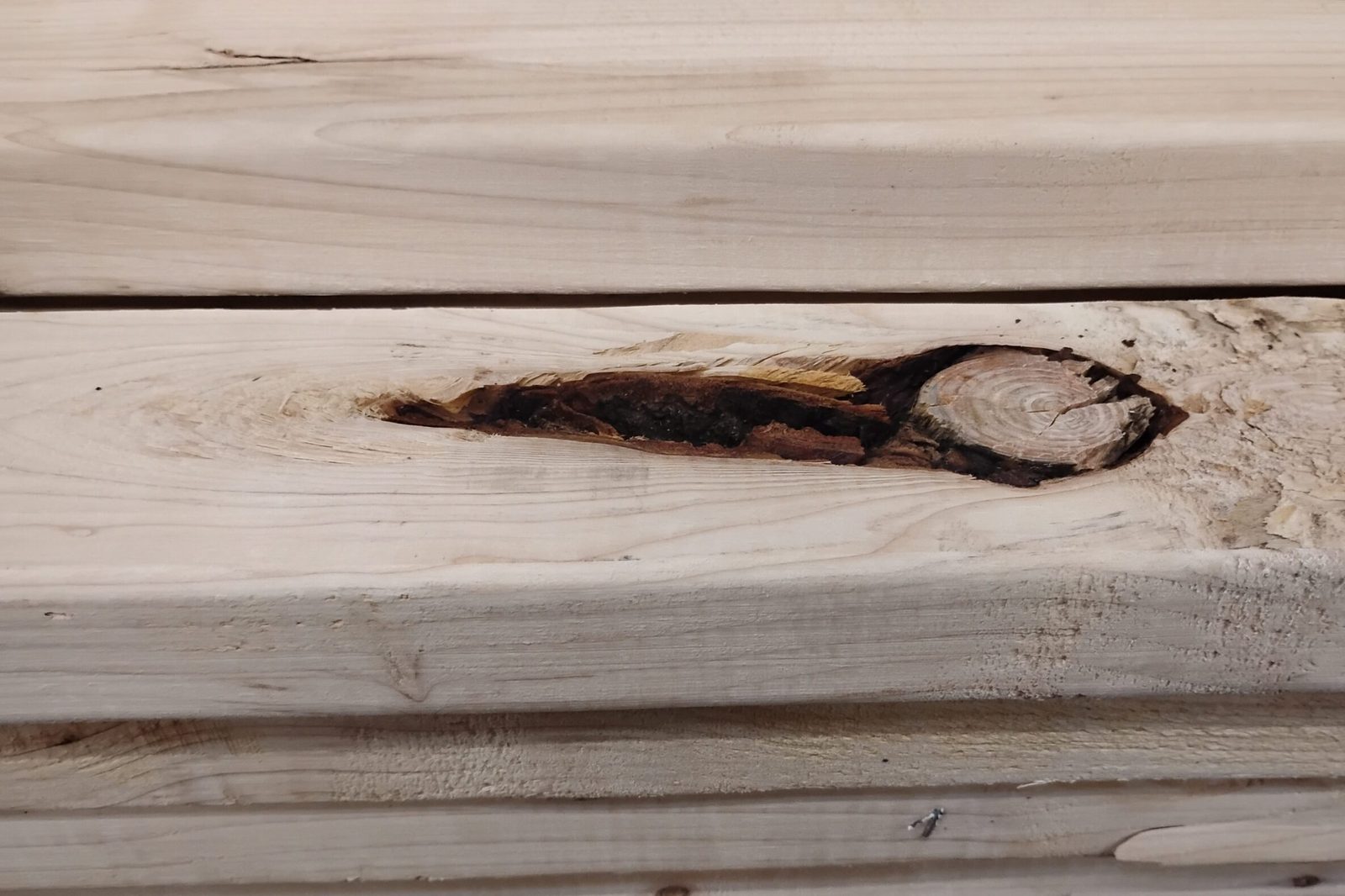 A large dark knot in a pocket of broken wood on the wide face of a 2x4, with the board's rounded edge below it.