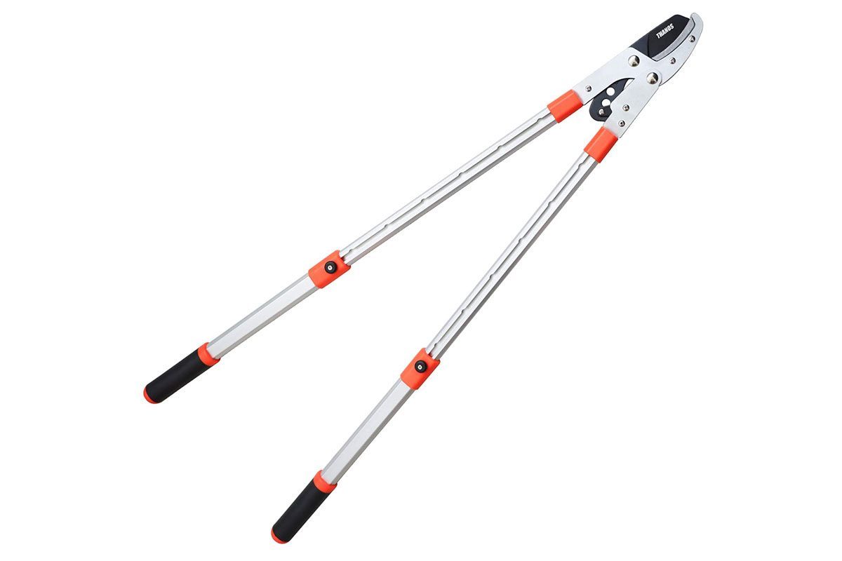 Homeowner's Guide to Tree Pruners and Loppers