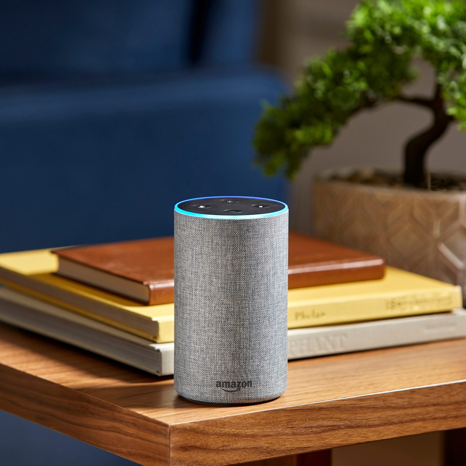 Do Amazon Echo's Security Features Really Work?