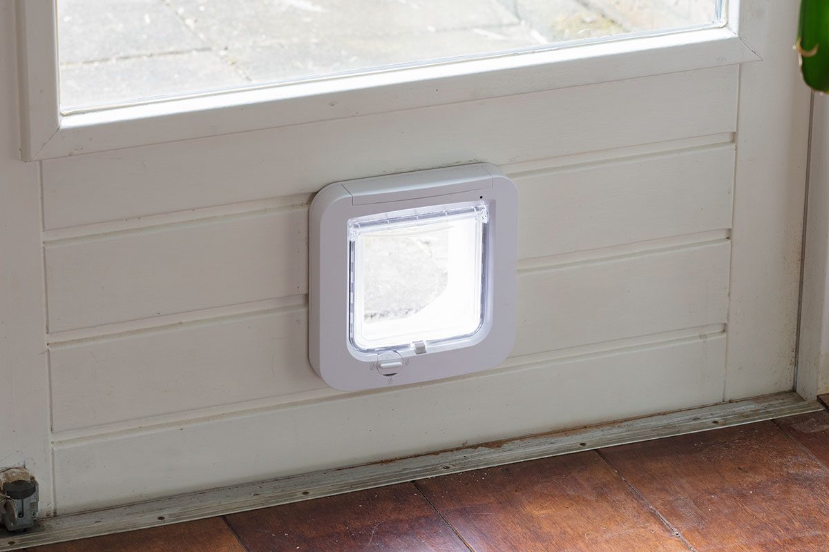 Here's How To Keep Your Home Secure If You Have a Doggy Door