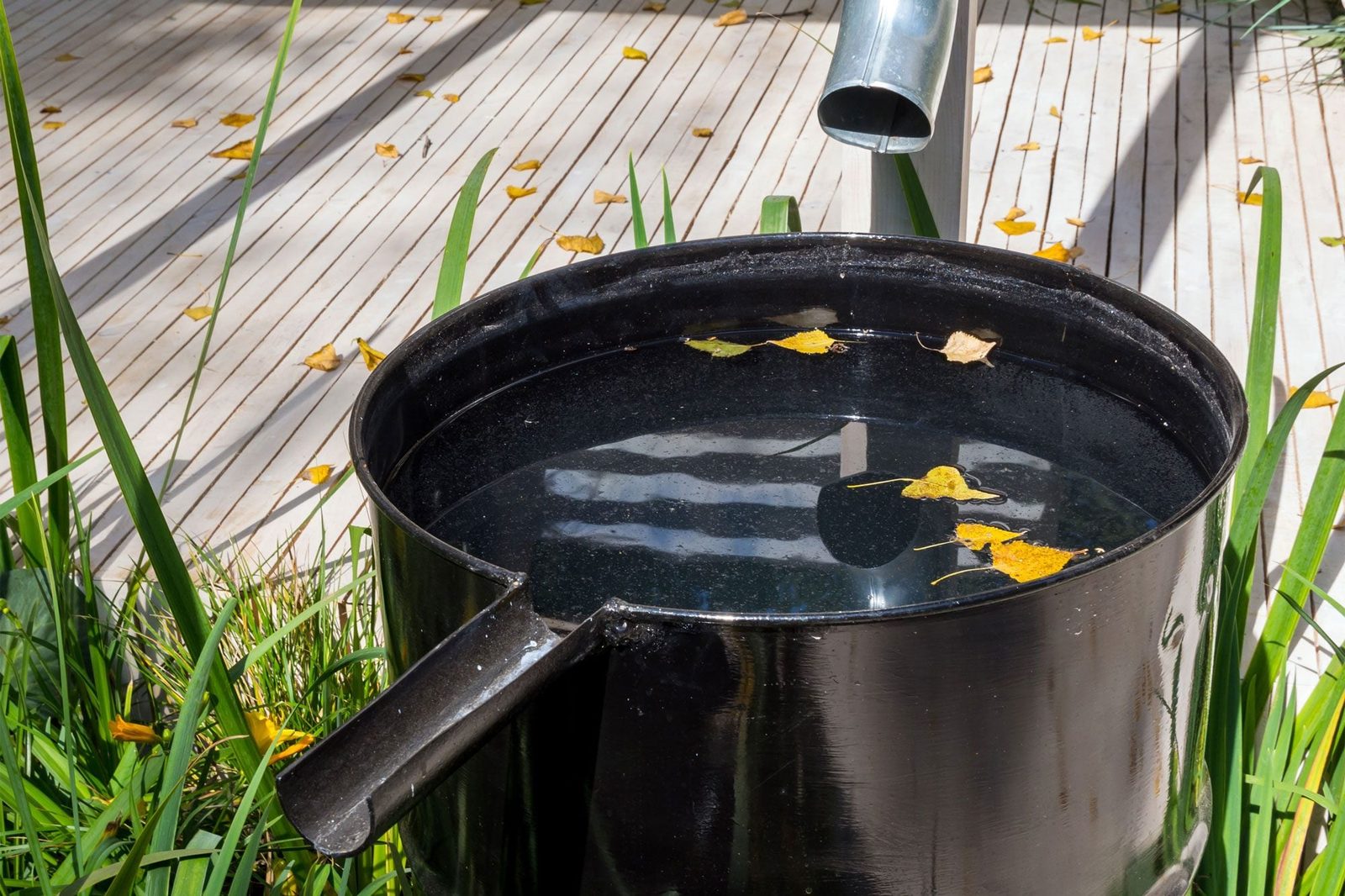 Barrel For Rainwater Collection