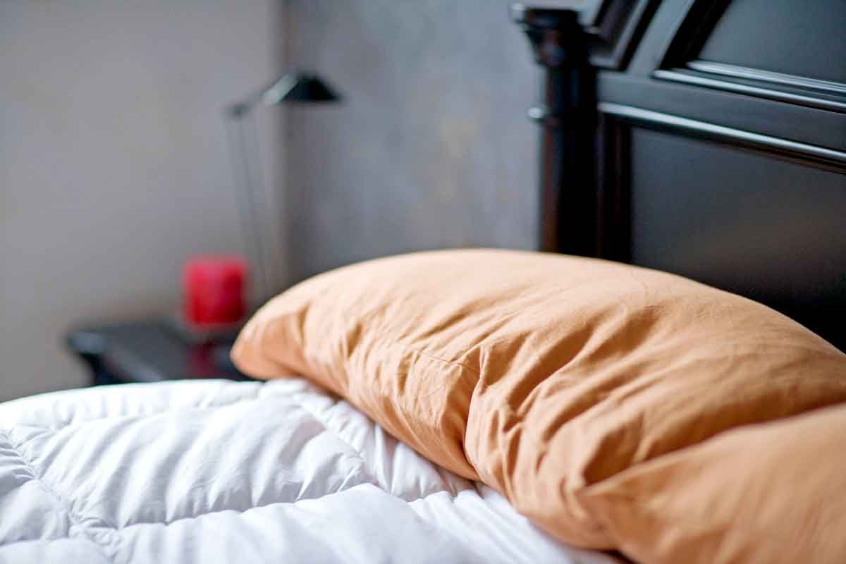 This is Where Bugs Hide in Each Area of Your Home