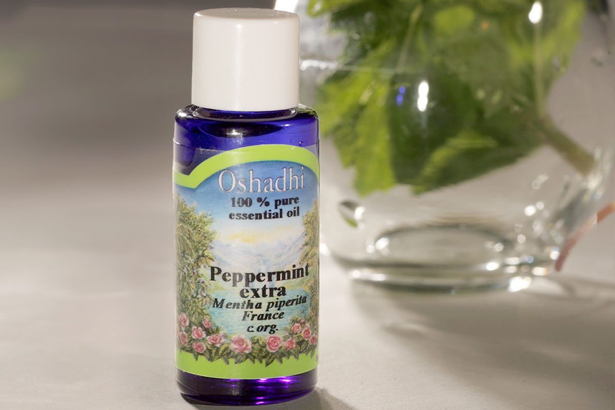 11 Best Ways to Protect Your Pantries From Pests