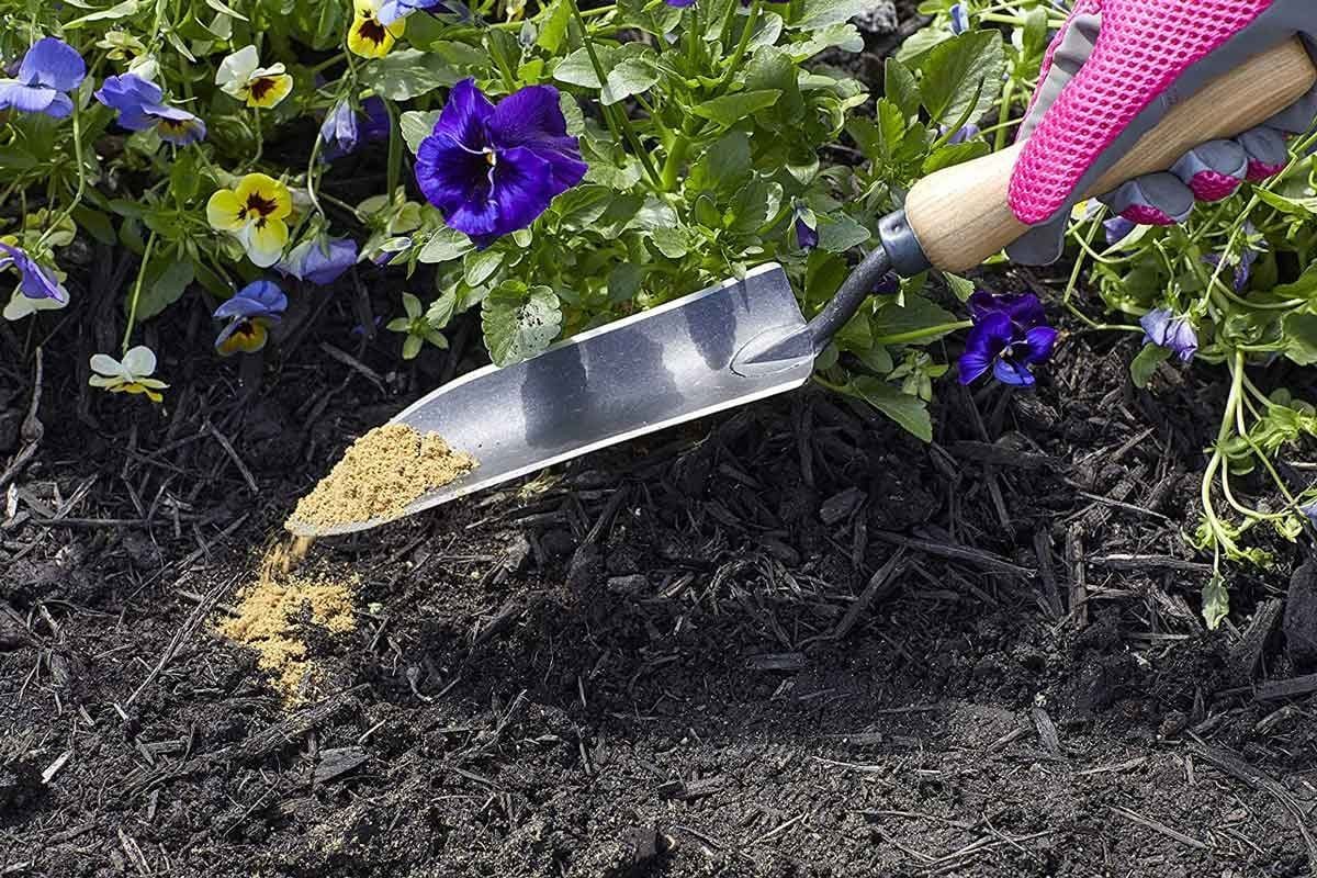 A hand with a pink glove scoops soil using a trowel, adding it to dark soil among colorful flowers in a garden.