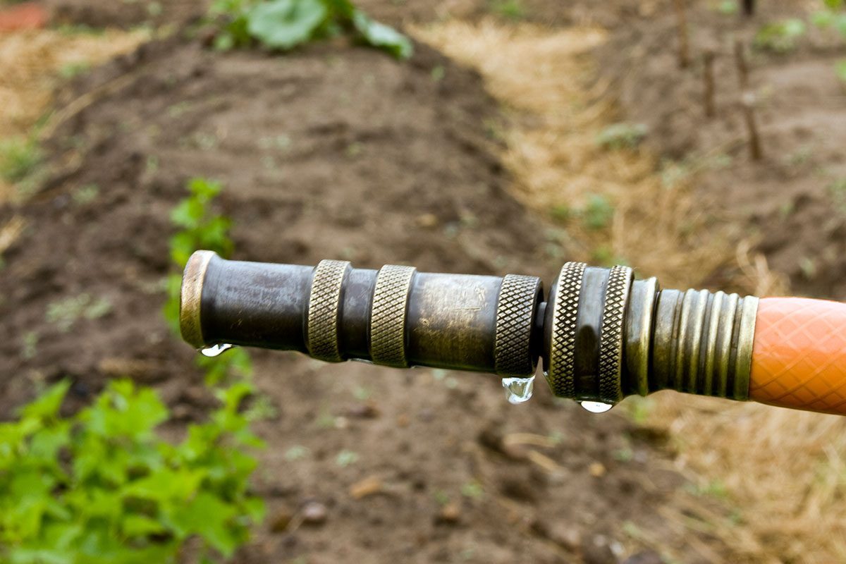 Garden Hoses: What To Know Before You Buy