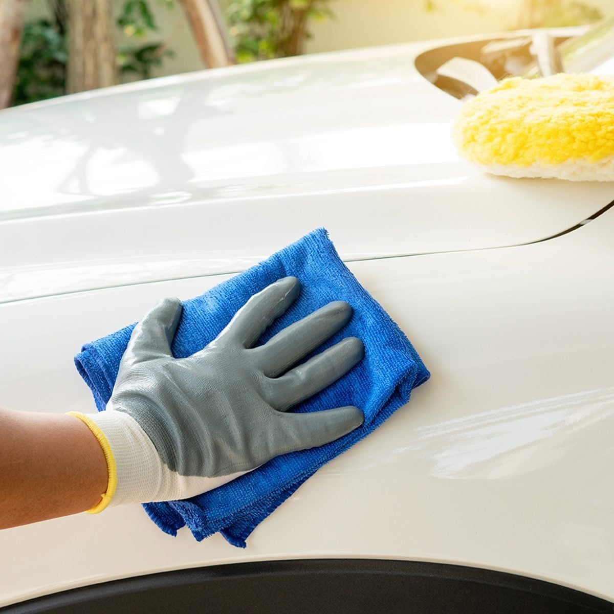 Car Detailing Costs: Is It Cheaper To DIY?