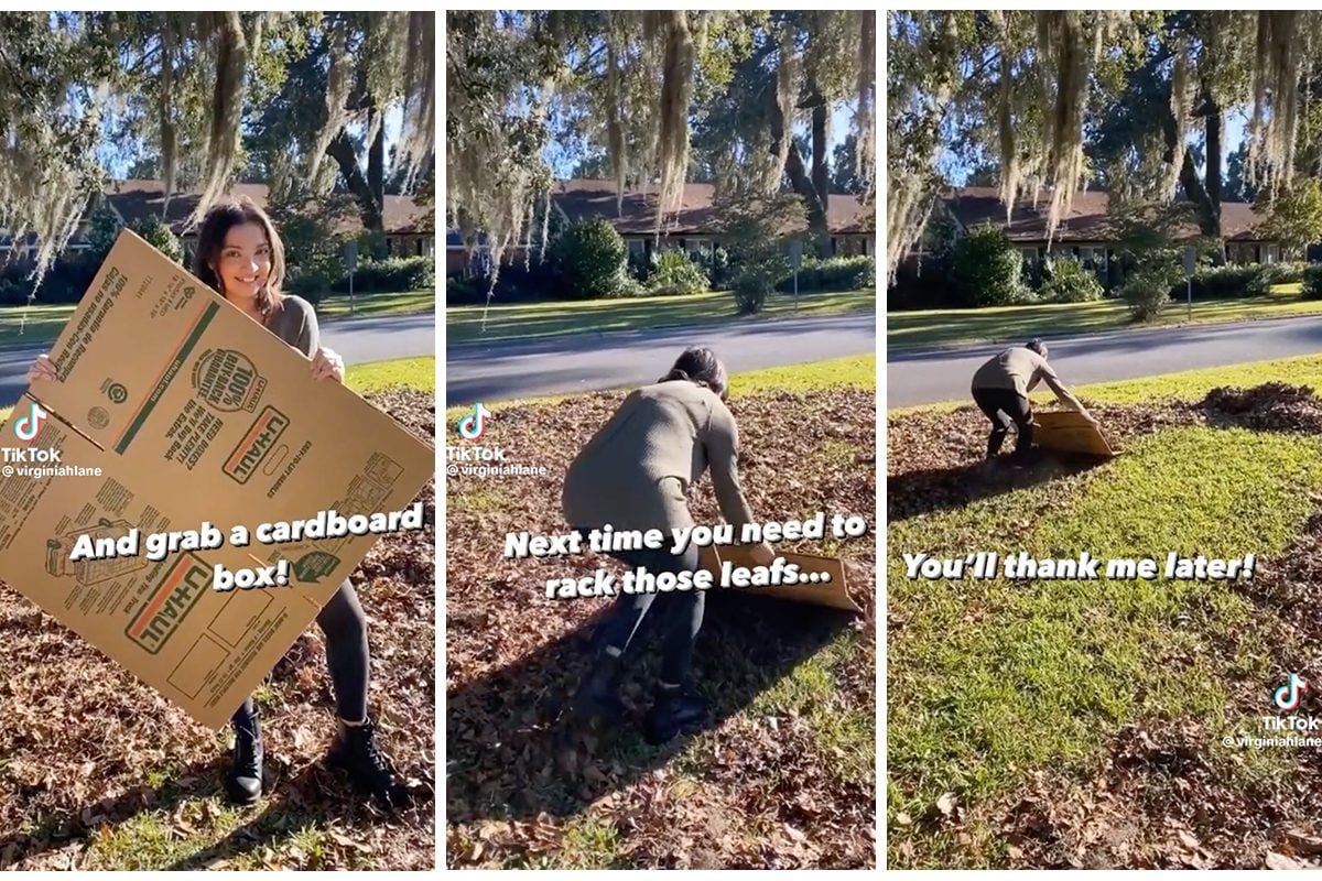 A woman holds a large cardboard box, then uses it to gather leaves while standing in a grassy area under trees on a sunny day.