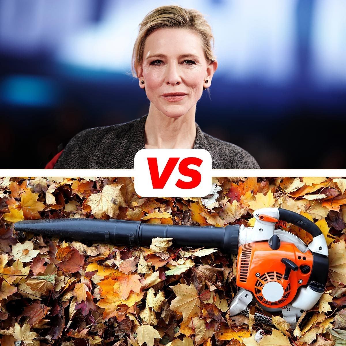 Split image with Cate Blanchett on top and a leaf blower resting in fall leaves on the bottom, with a red "VS" in between