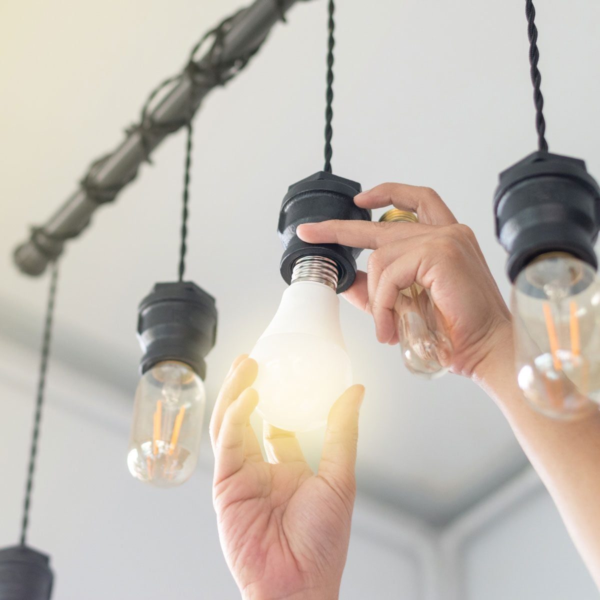 A hand replaces a light bulb in a pendant fixture, surrounded by additional hanging light bulbs in a bright indoor setting.