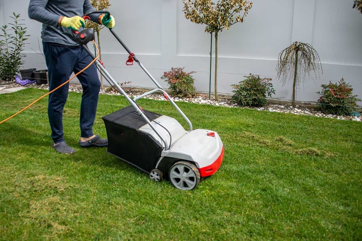 A person mows a lawn using an electric lawn mower, surrounded by green grass, small bushes, and a gray wall in a residential yard.