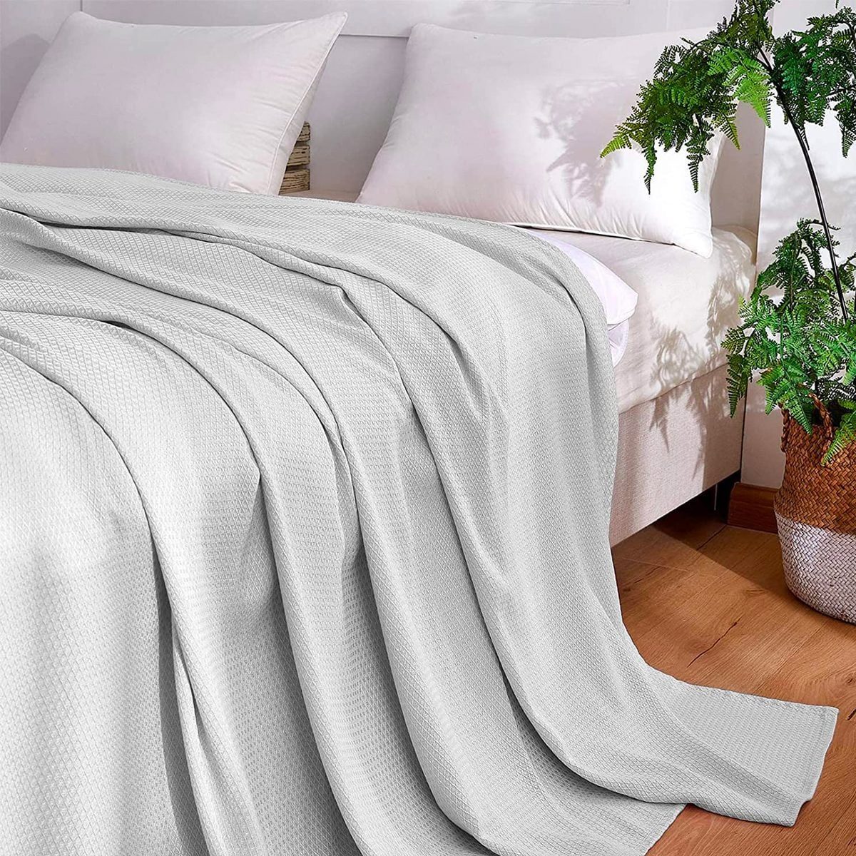 A light gray blanket drapes over a beige couch, with white pillows visible behind it, and a potted fern nearby on a wooden floor.