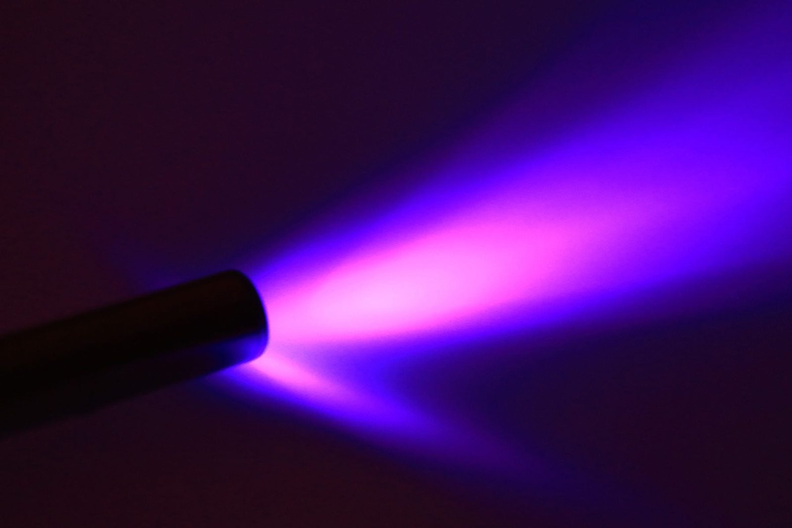 UV Light for Mold Removal: Does It Really Work?