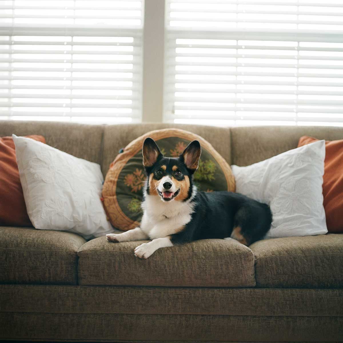 Here's How to Clean Every Type of Couch