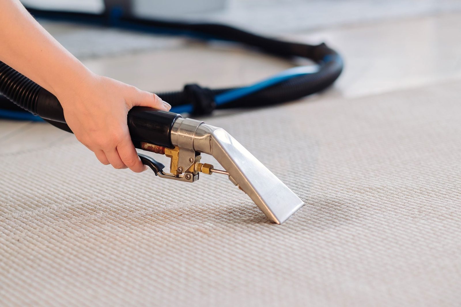 Extracting Water From The Carpet Using A Water Extractor
