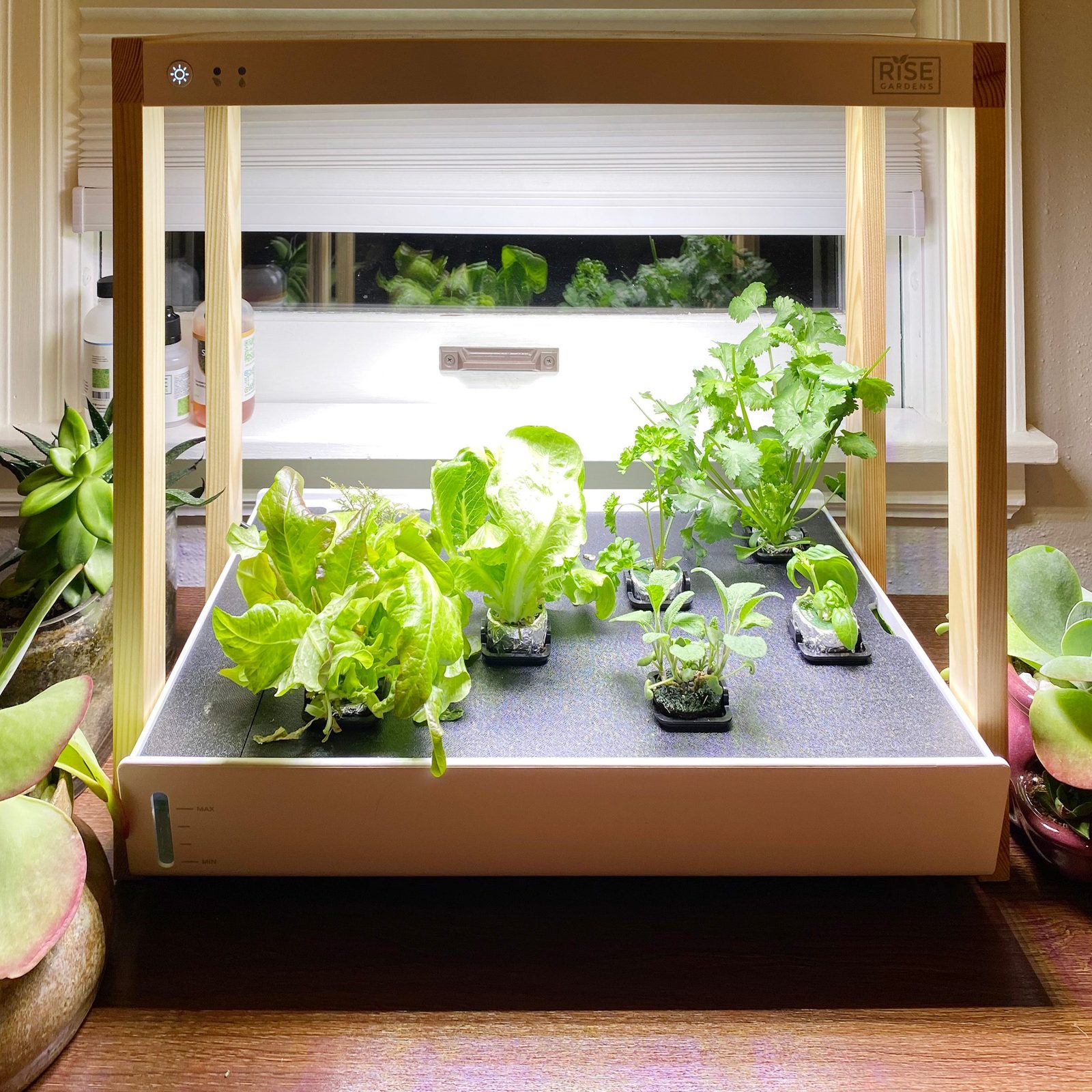 Vernl Raise Indoor Personal Garden With Succulents