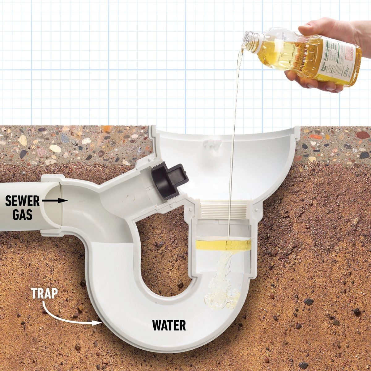 Why You Should Be Using Oil in Your Floor Drains