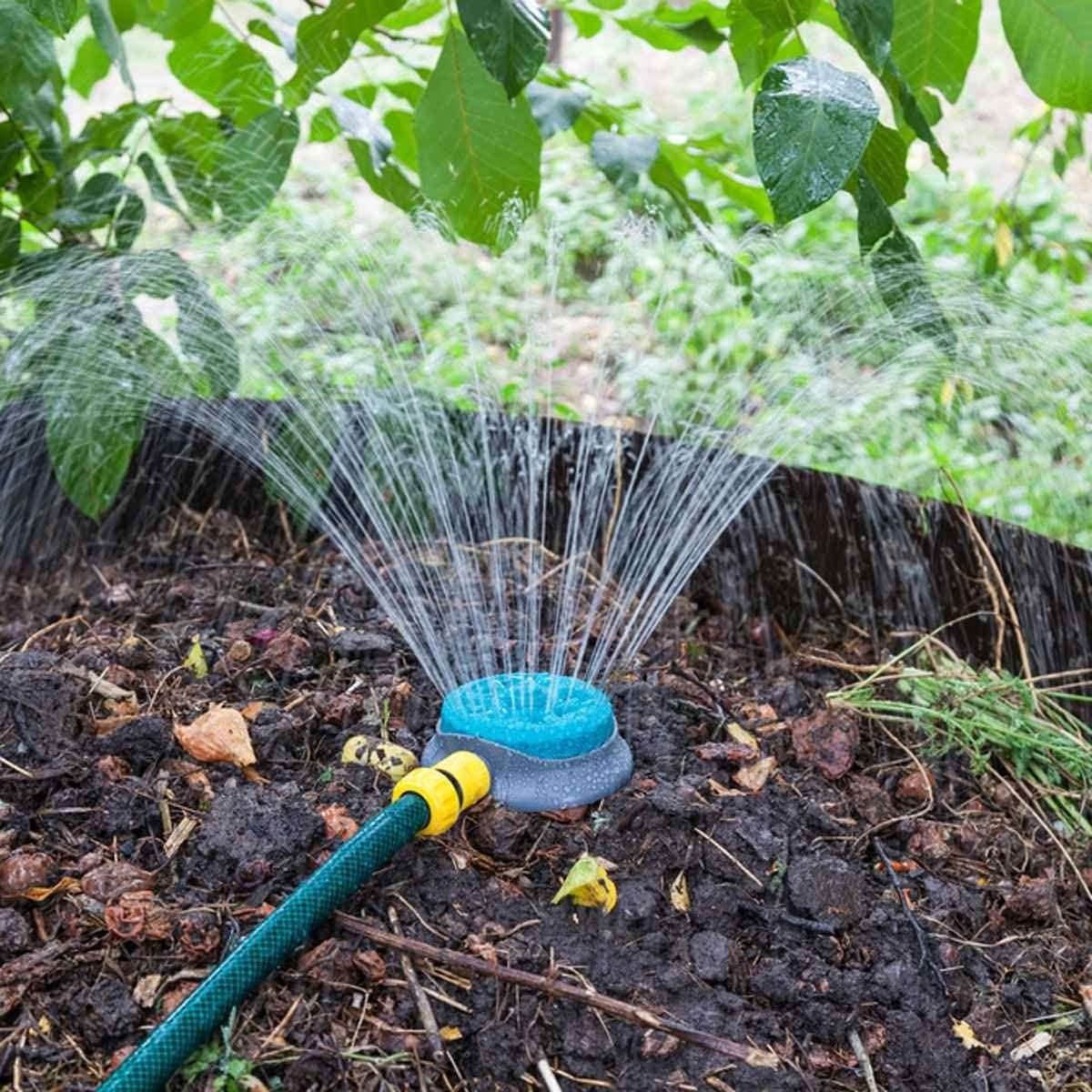 How to Start a Compost Bin