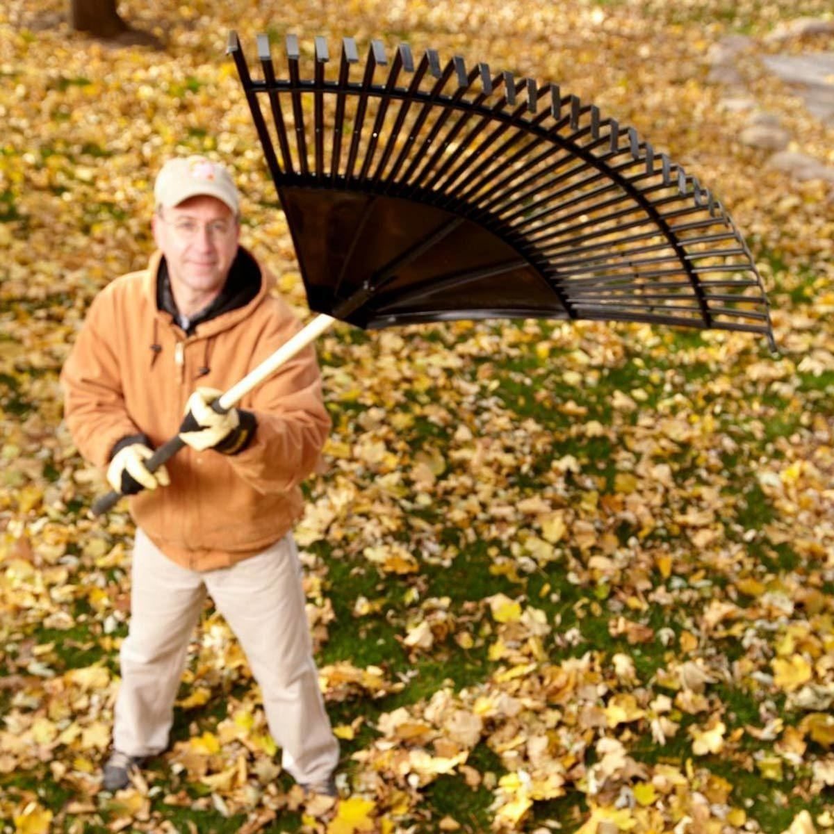 A man in a jacket holds a large rake above fallen leaves on a grassy area, preparing to gather them.
