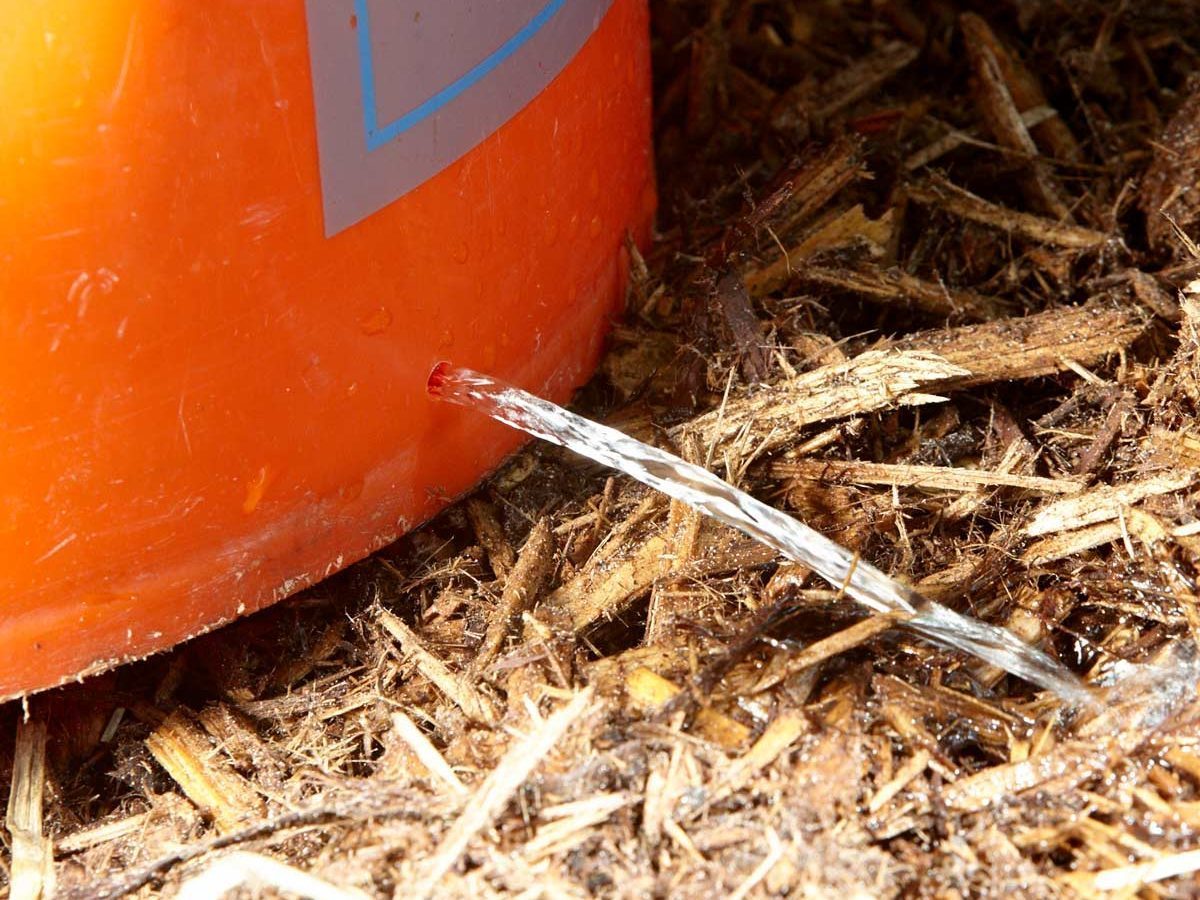 5-Gallon Bucket Hack: Better Tree Watering