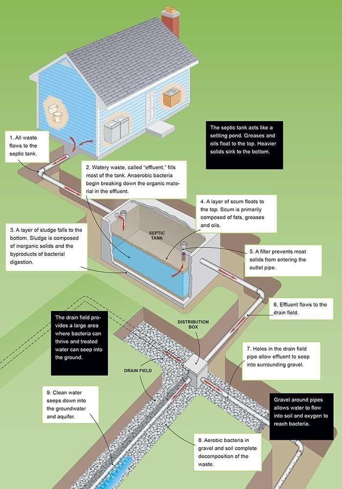 How Do Septic Tanks Work?