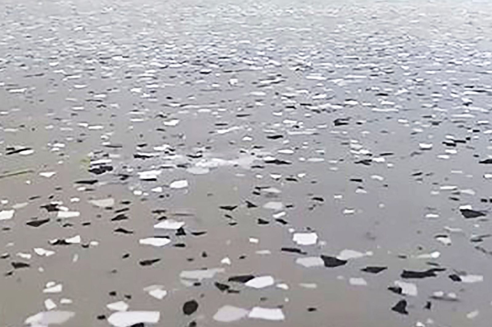 Floating debris, mostly white and black, spreads across a calm, muted water surface, creating a scattered mosaic effect in an outdoor enviro