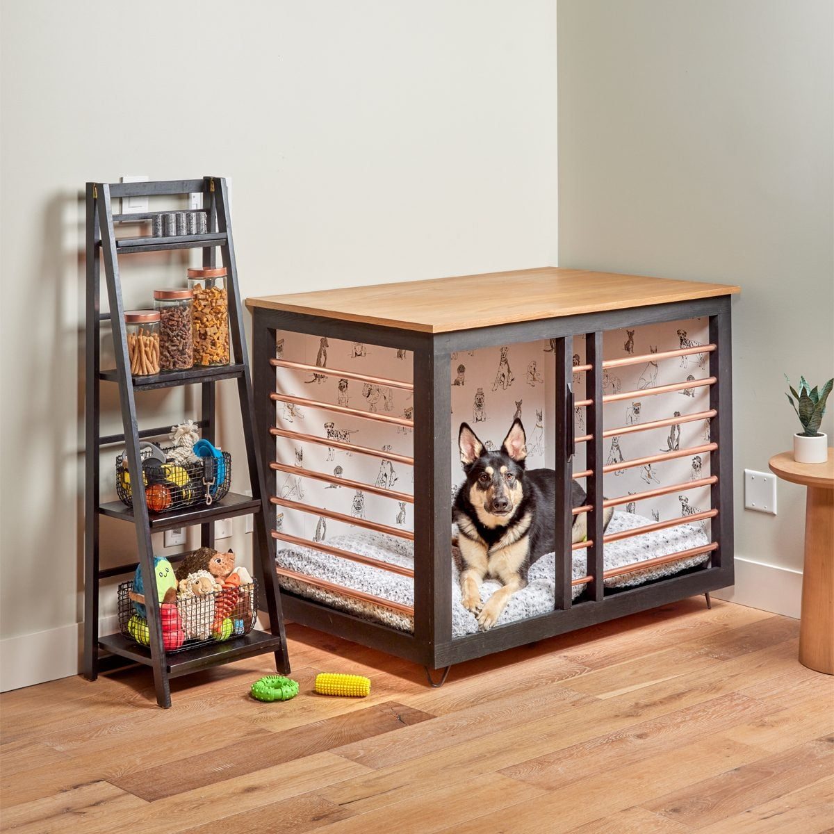 A dog rests in a cozy crate inside a room, while nearby, a ladder holds pet supplies and toys on a wooden floor.