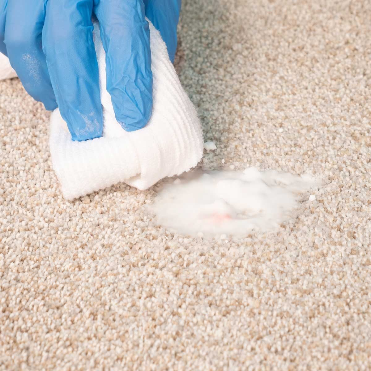 How to Get Blood Out of Carpet