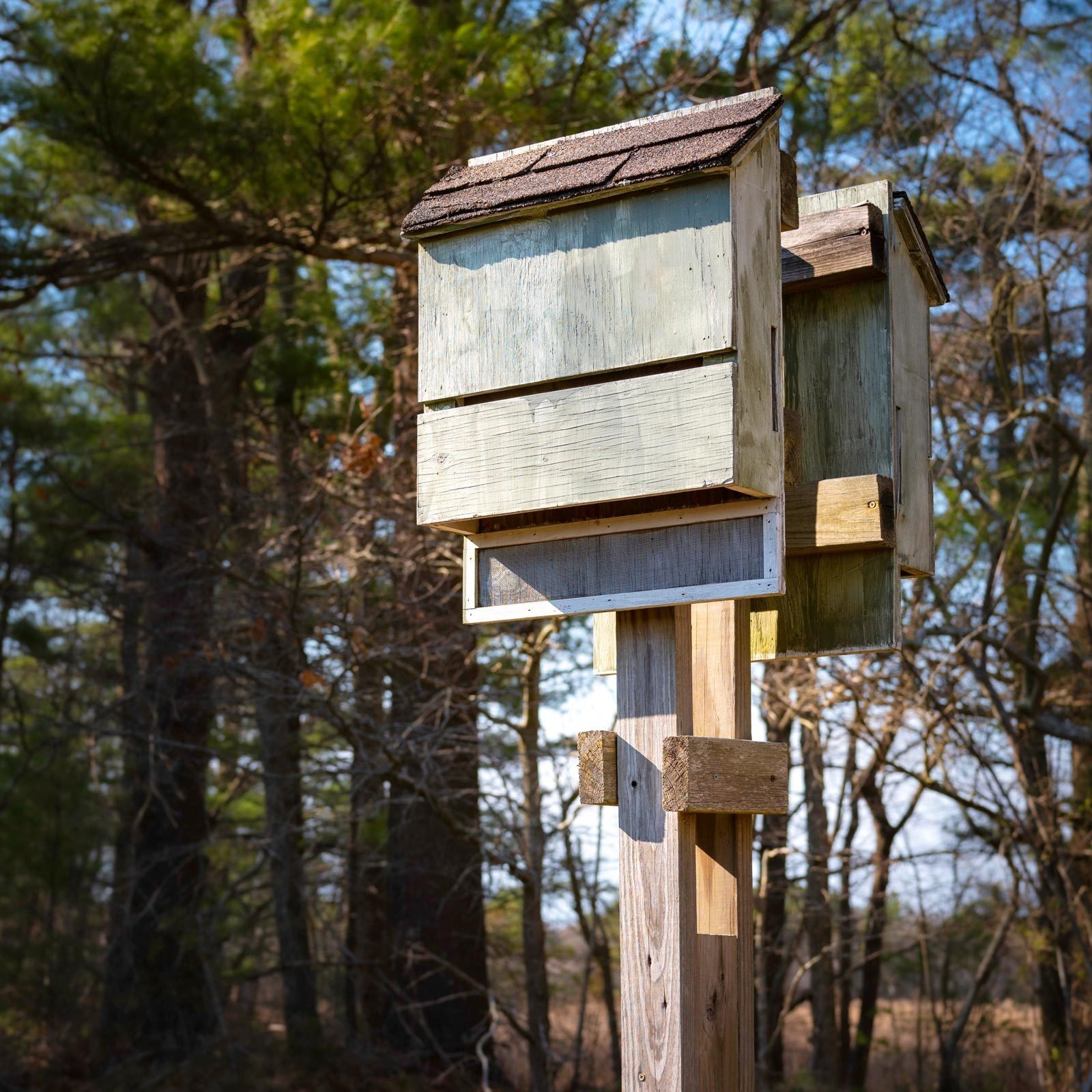A wooden birdhouse stands on a post, sunlight illuminating its weathered surfaces, surrounded by trees in a natural setting.