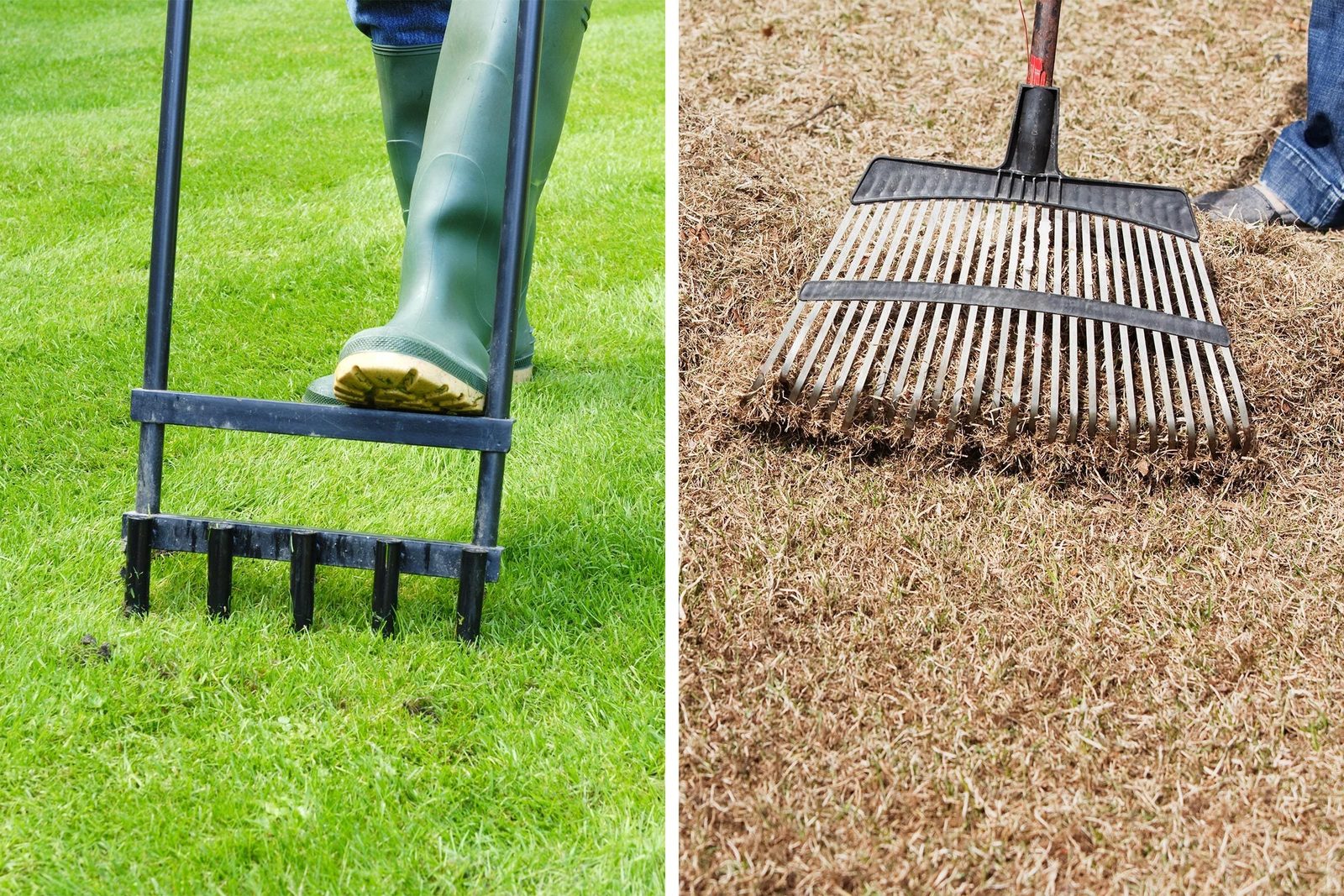 A person in green boots uses a gardening fork on lush grass, while another tool rakes dry, brown grass in a separate area.