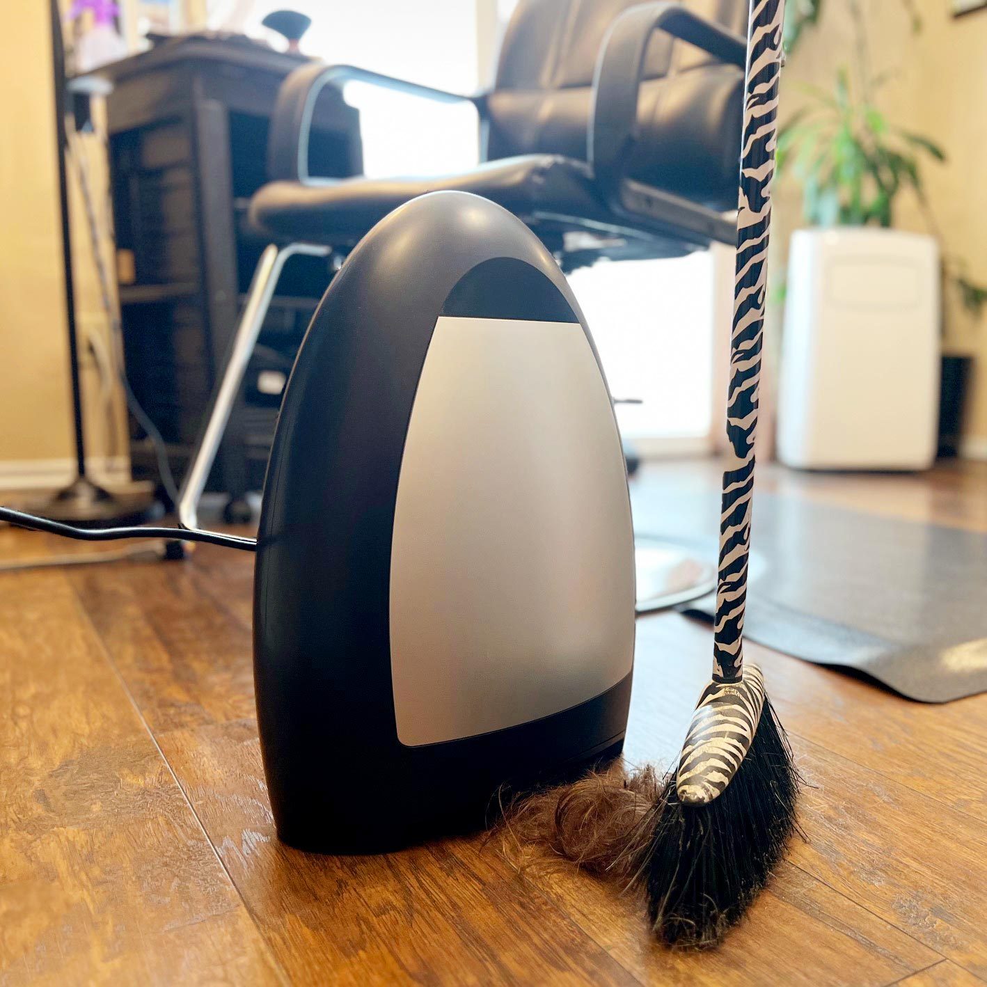 The EyeVac Home Vacuum Is Our Editor's Pick for Eliminating Pet Hair and Dirt From Floors