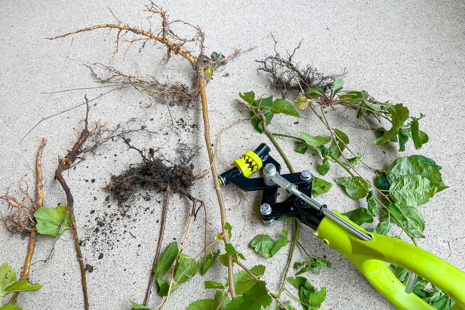 I Tried the Handy Brush Grubber and Pulling Brush and Shrubs Has Never Been Easier