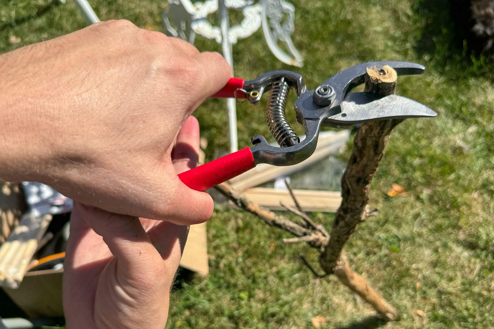 Corona Classic Cut Pruners