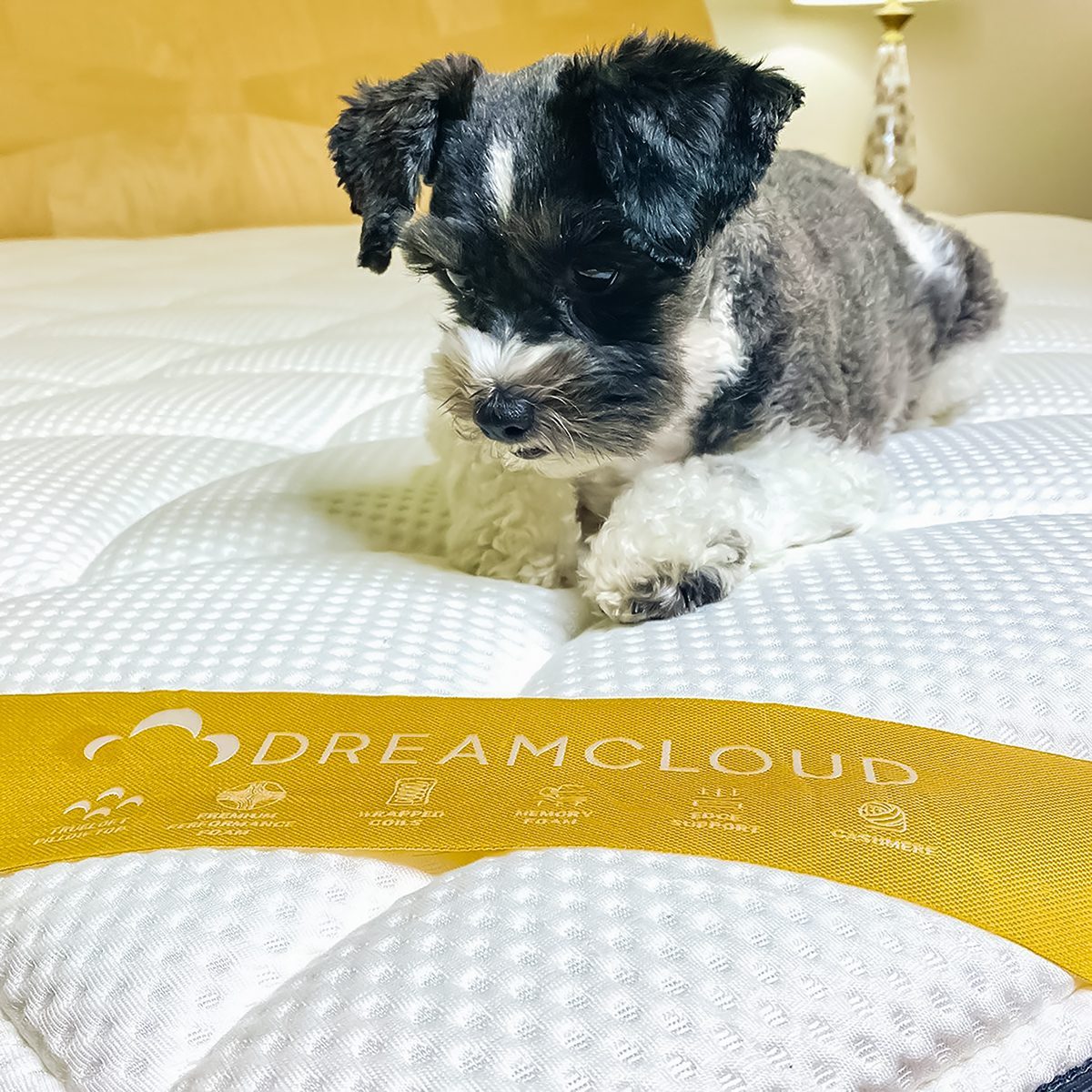 Is DreamCloud a Good Mattress? Here's What We Found After a Year of Testing