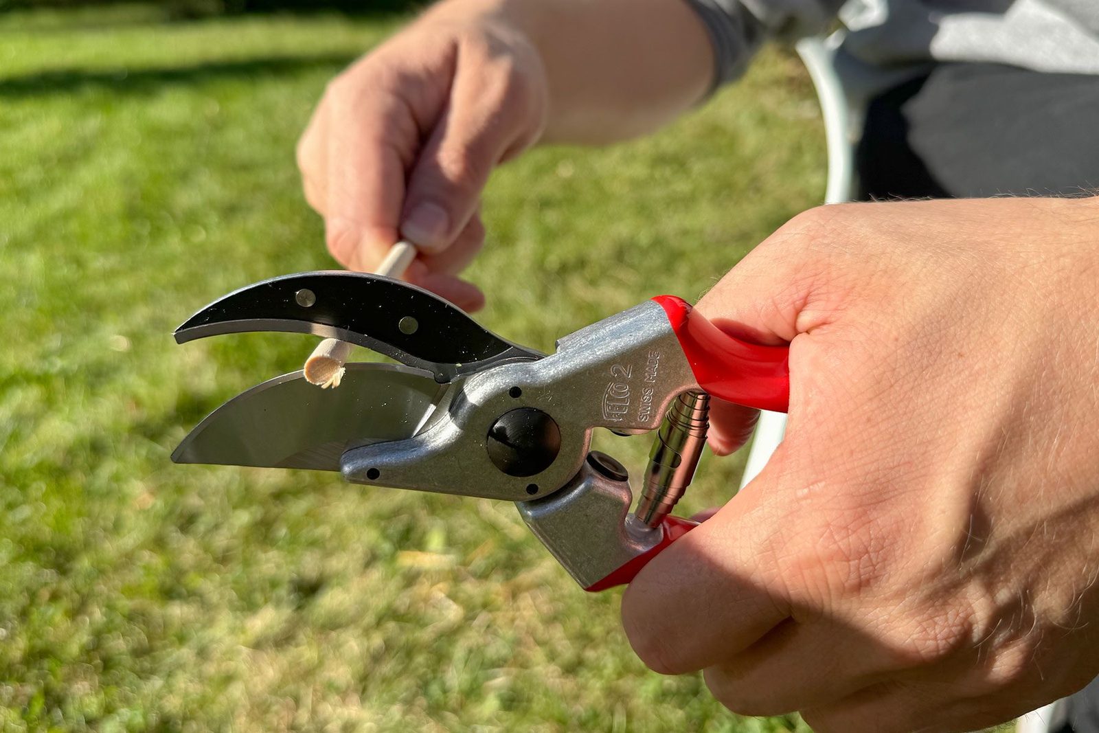 Felco Pruners Review: We Tried It and Got the Cleanest Cuts Around