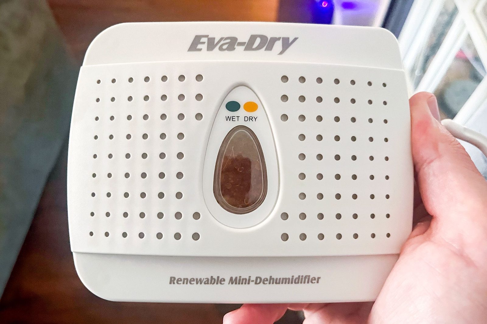 Over 30,000 People Love the Eva-Dry Mini Dehumidifier—Here's Why It's a Gamechanger for Musty Closets