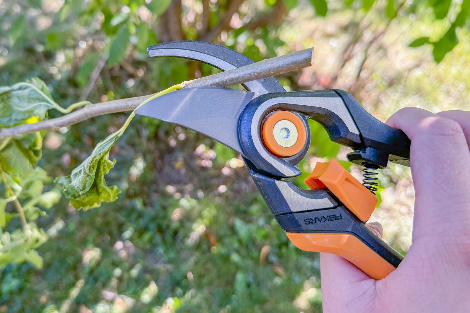 Fiskars Pruners Review: We Tried It and Got the Most Bang for Our Buck