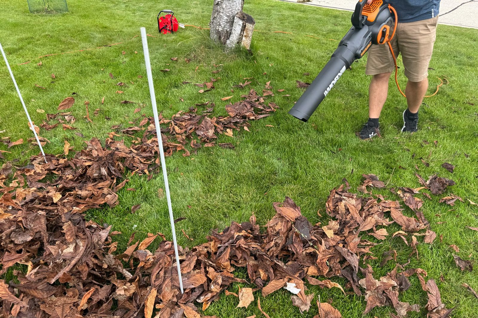 Worx Leaf Vaccum Review: Does This Three-in-One Blower/Vacuum/Mulcher Beat the Competition?