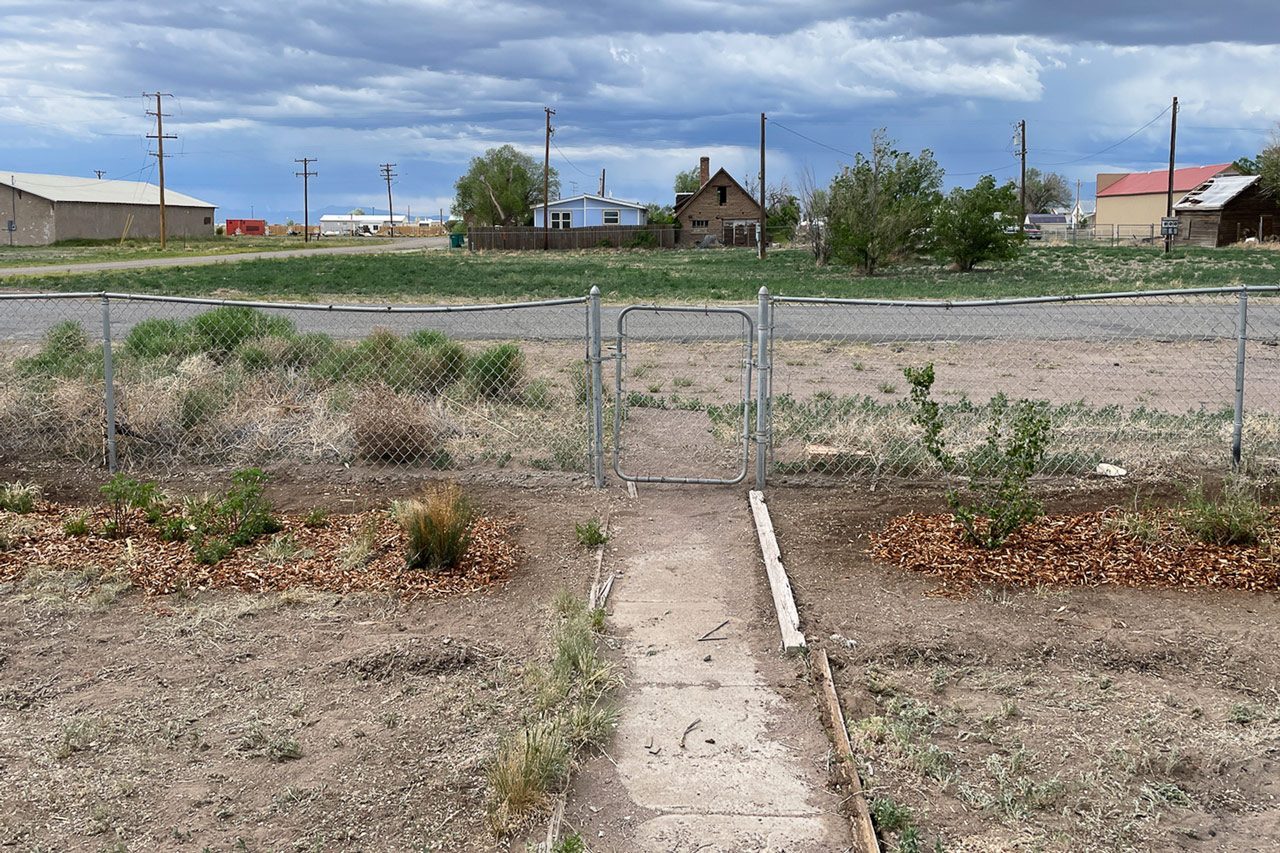 I Replaced My Lawn With a Wildflower Meadow— Here's What Happened