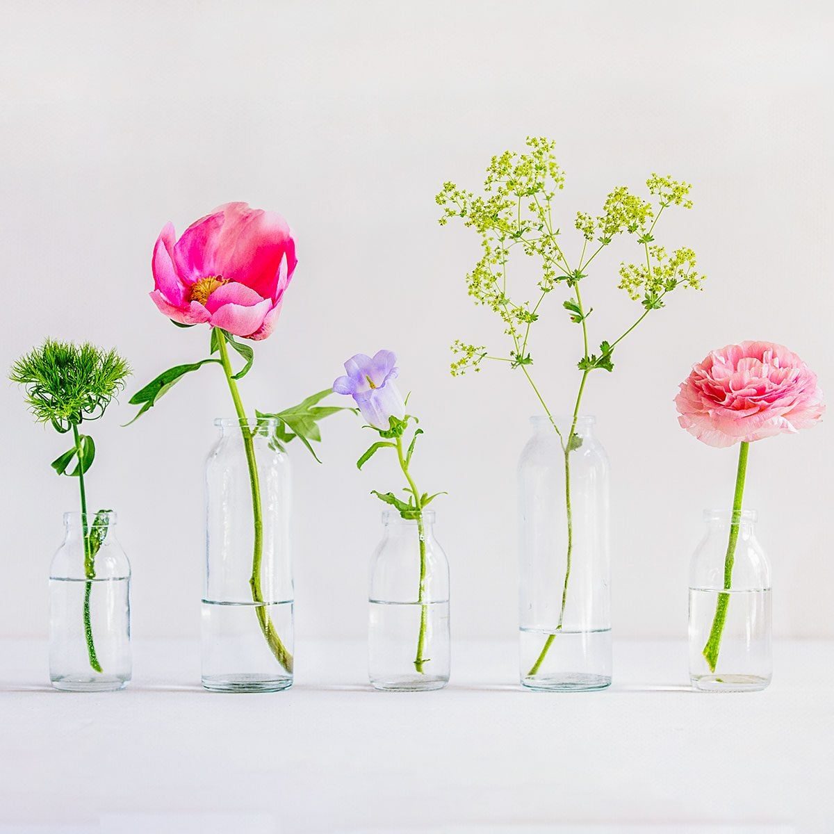 5 flowers in separate vases - peony, Canterbury bells, Persian buttercup. Shot in natural light.
