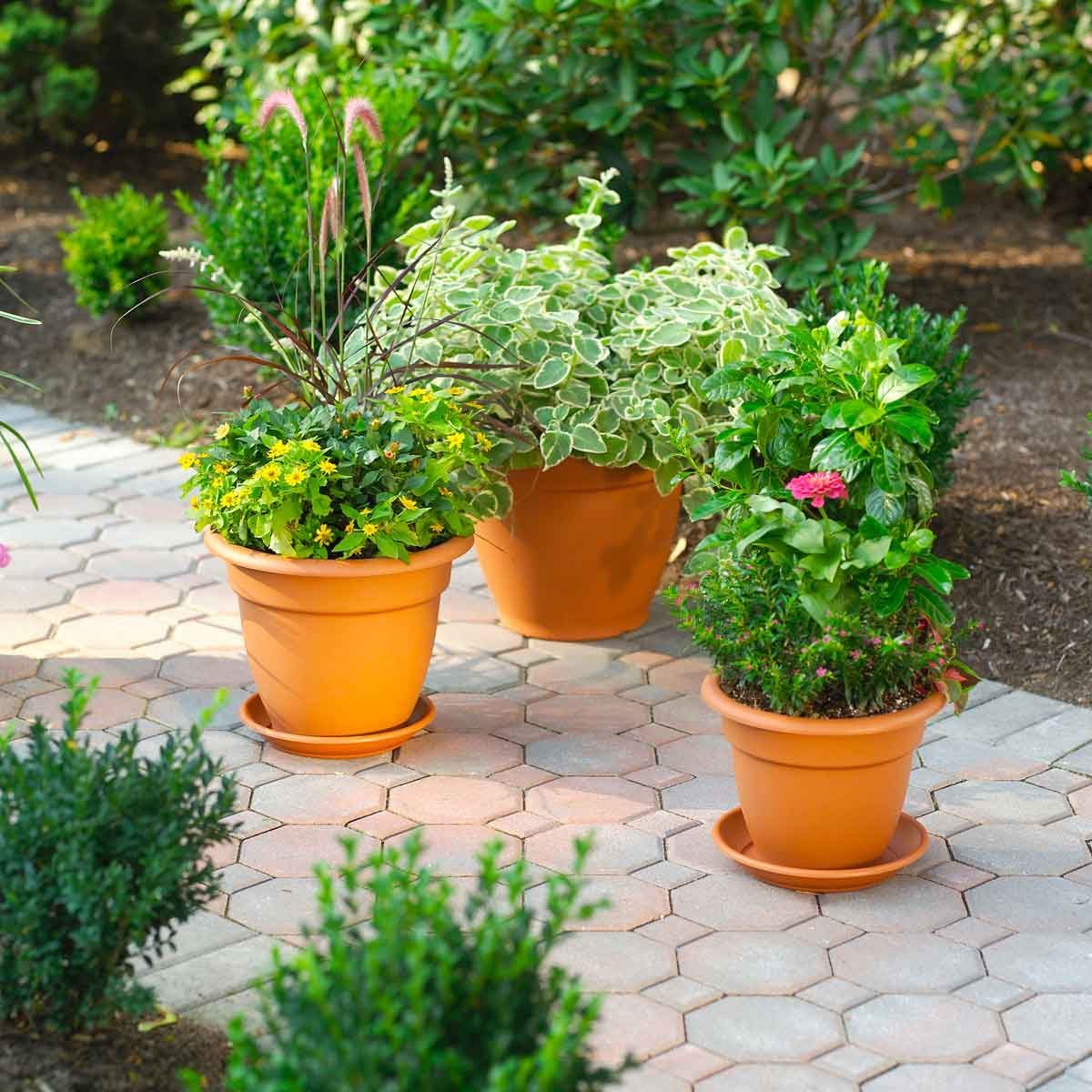 8 Ways to Use Dryer Lint in Your Backyard and Garden