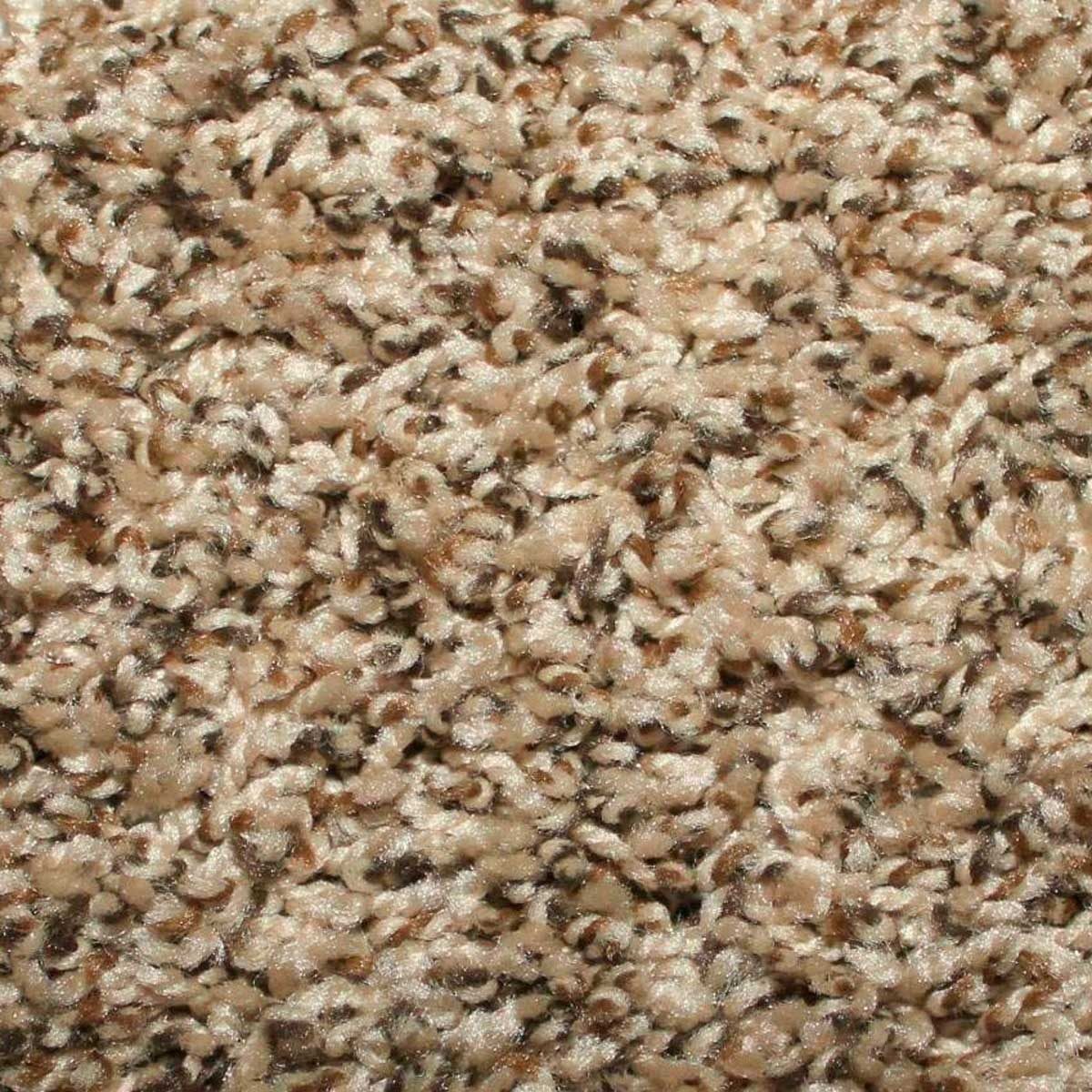 A soft, textured carpet covers the ground, featuring a blend of beige and brown fibers, creating a cozy and warm atmosphere.