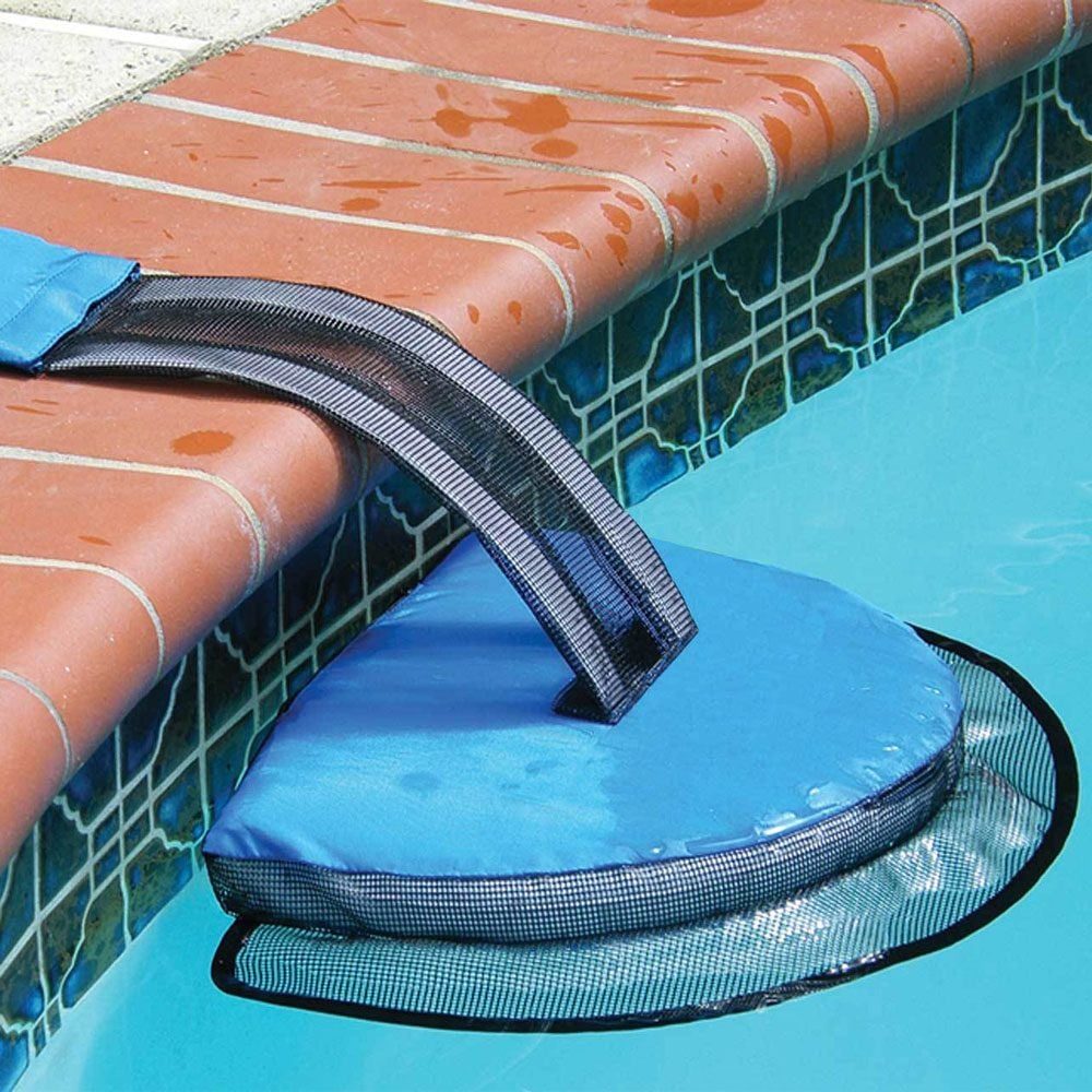 The FrogLog Pool Ramp Saves Frogs, Squirrels and Other Animals From the Water