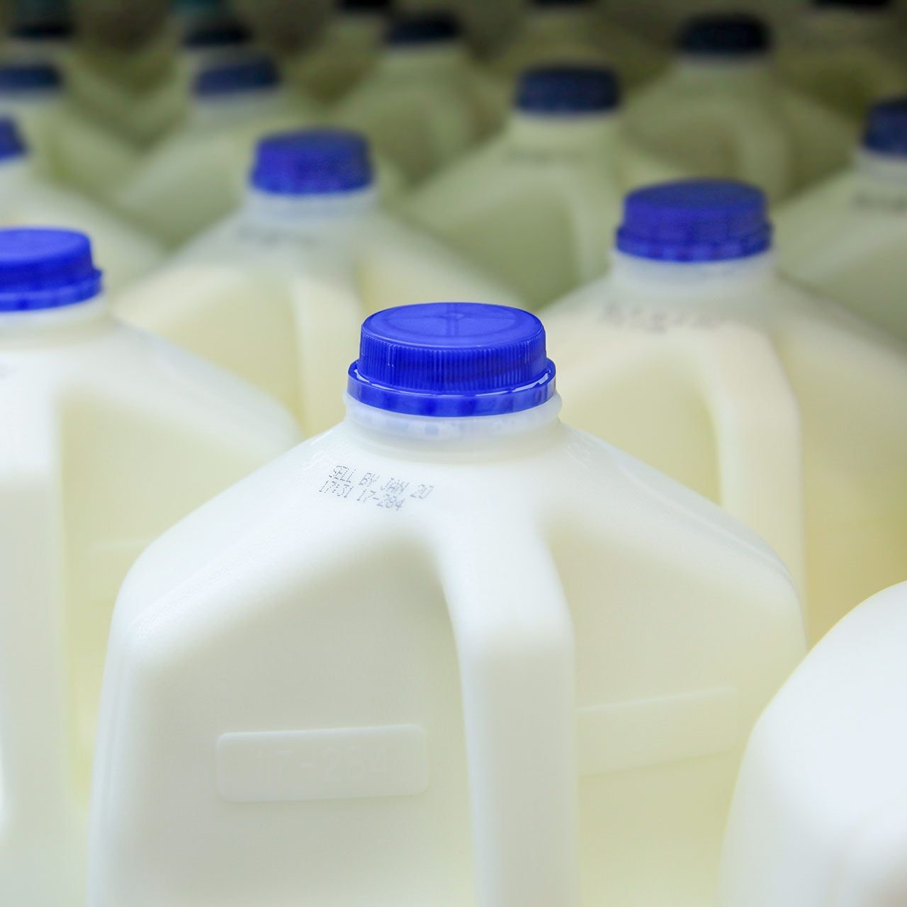 Gallons of fresh milk in freezer.