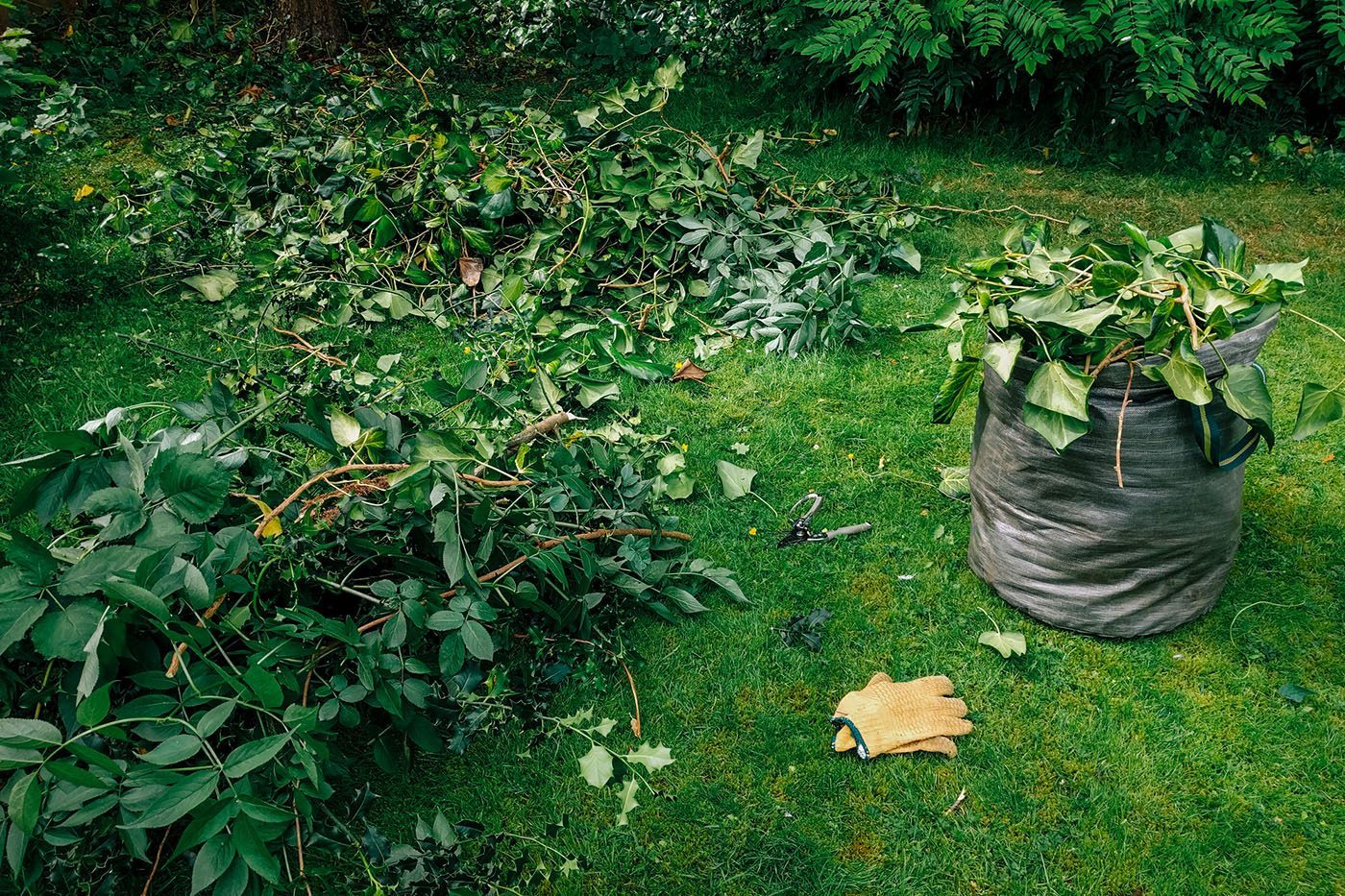 Guide to Clearing Your Yard of Sticks, Rocks, and Other Debris