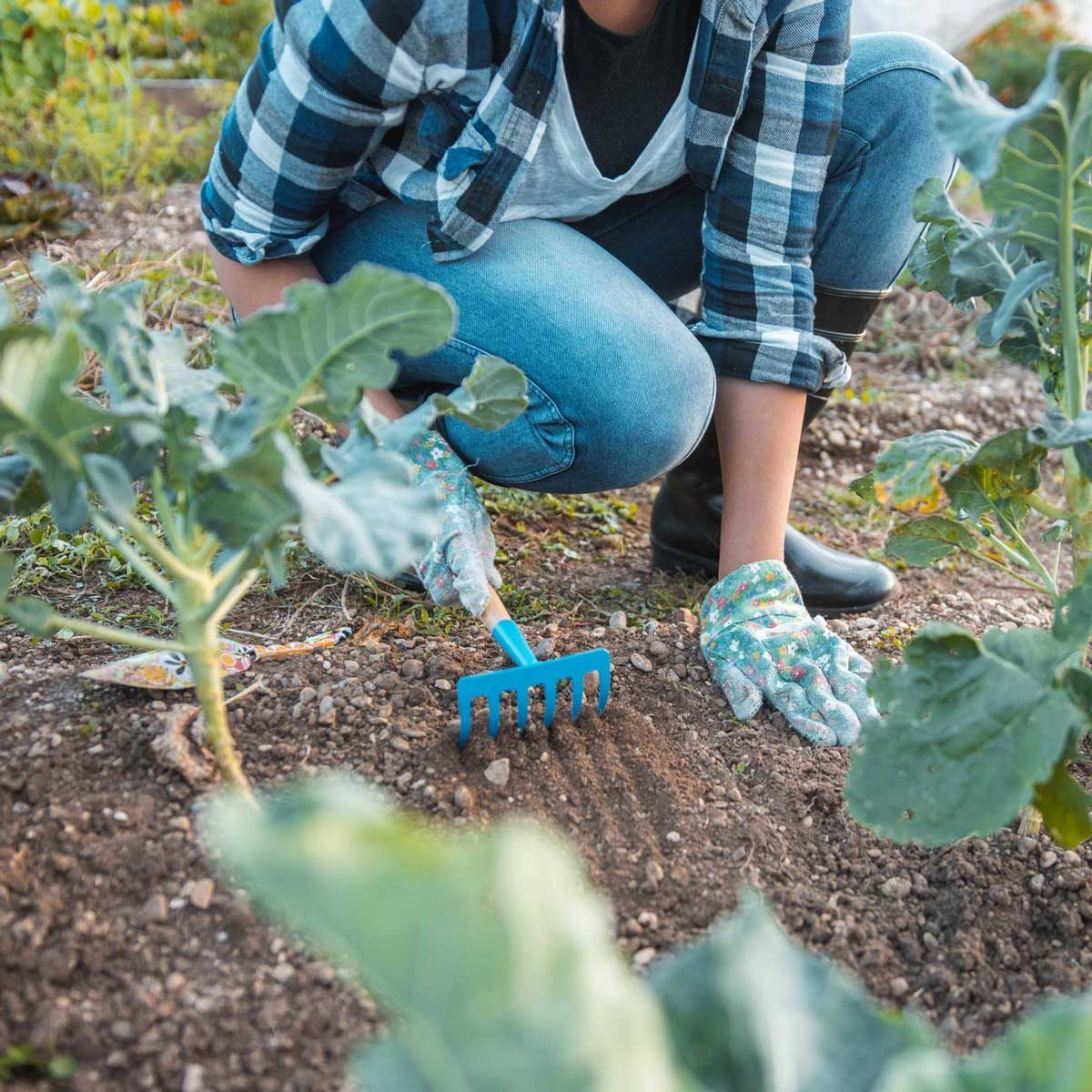 Is Your Lawn Ready for Winter? Here's What To Do