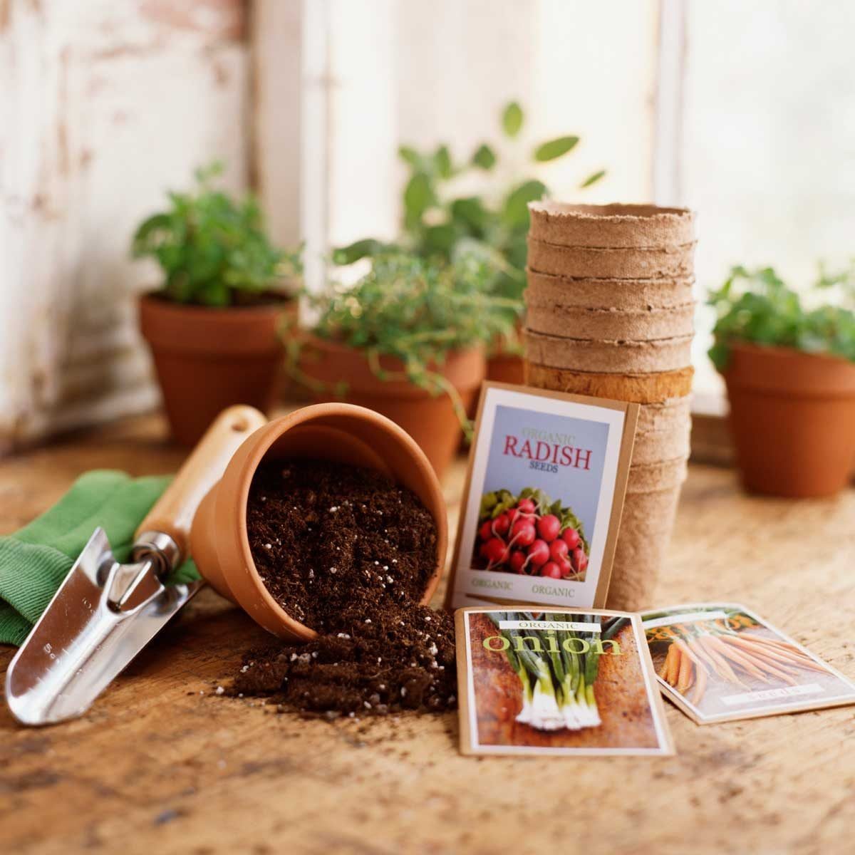 A terracotta pot spills soil next to seed packets for radishes, onions, and carrots, on a wooden table surrounded by green plants in pots.
