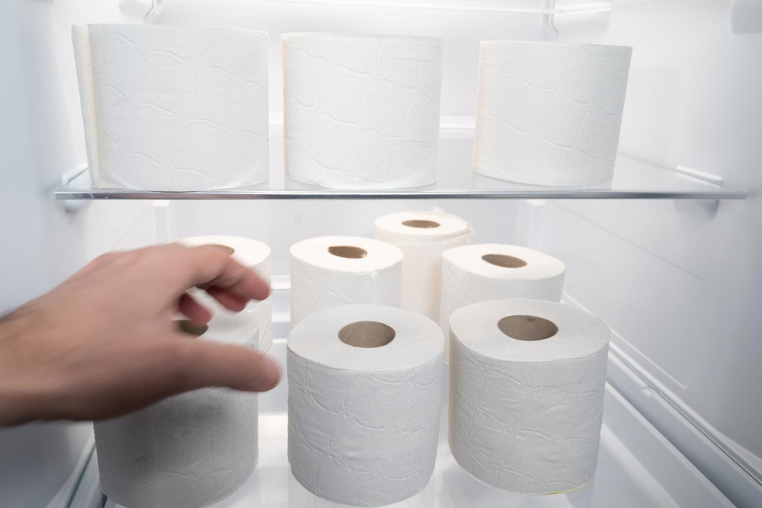 Why Are People Putting Toilet Paper in the Fridge?