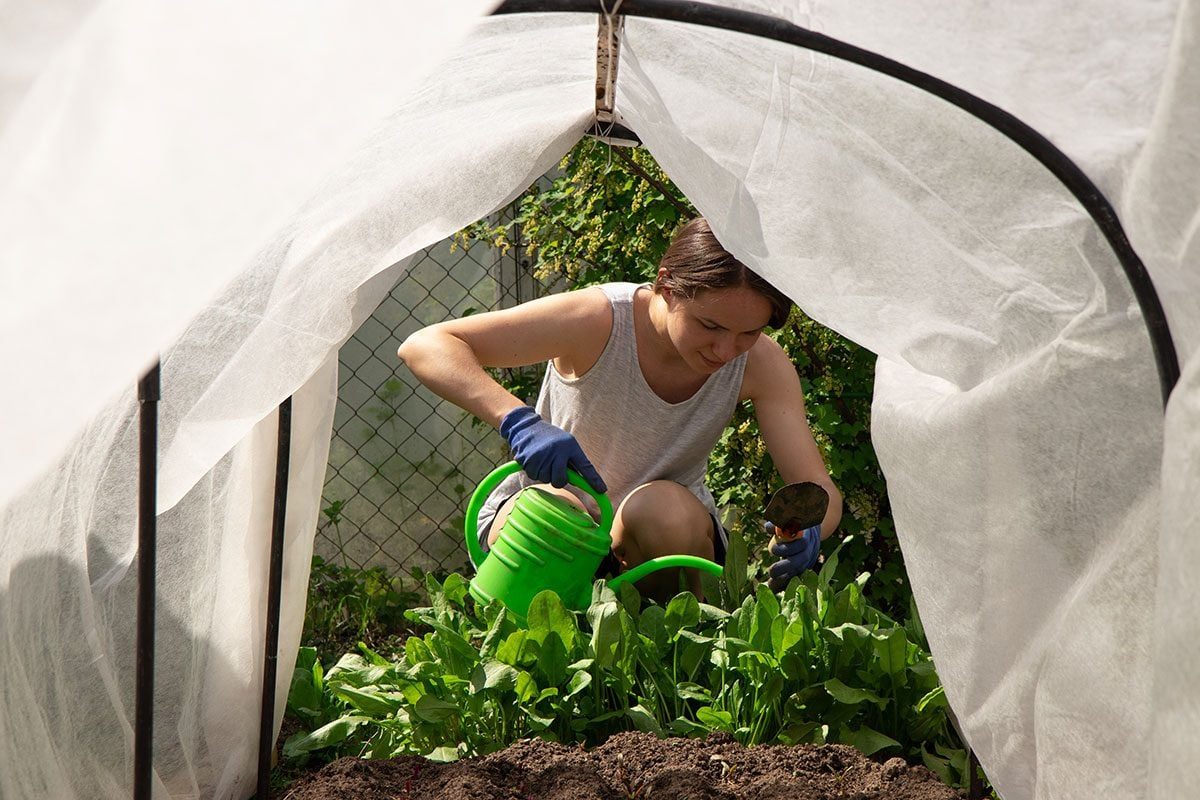 This Super Easy Gardening Hack Keeps Pests Away for Good