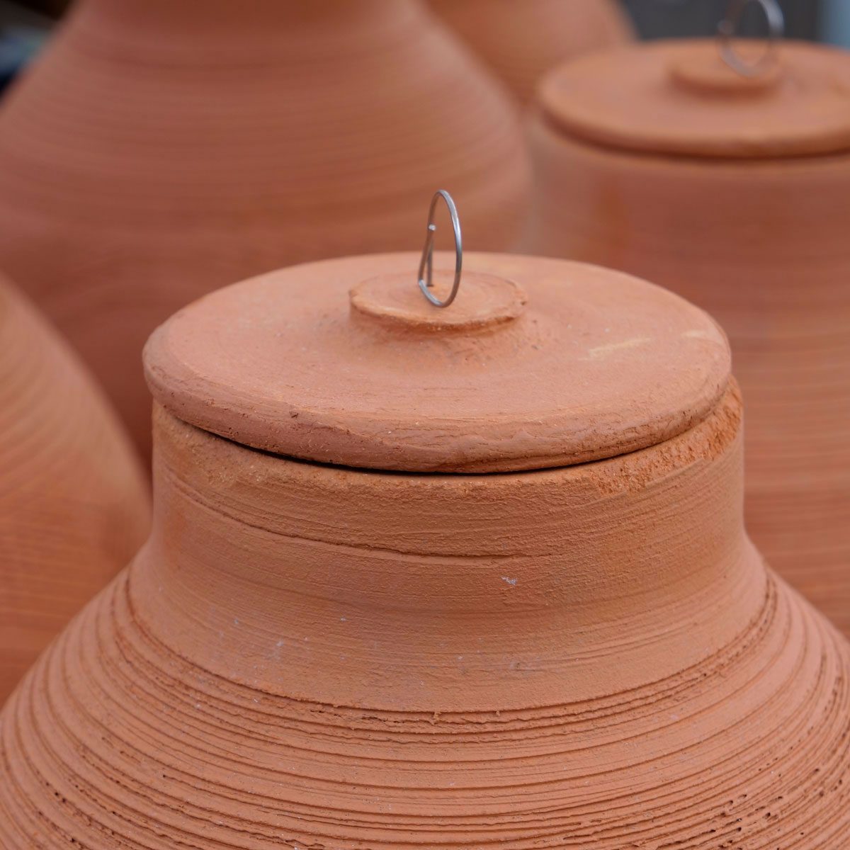 This Ancient Garden Watering System Is Still the Best