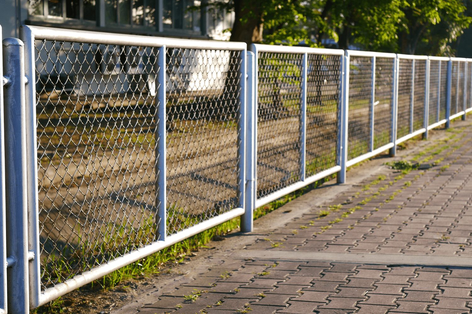 A chain-link fence lines a paved walkway, standing still under sunlight, with green grass peeking through the gaps along the ground.
